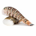 Lobster  Tail
