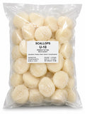 Scallops U10