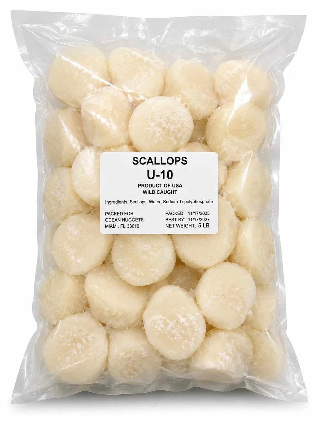 Scallops U10